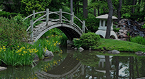 جسور الحديقة
