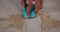 Carpet Cleaner Foam