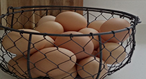 Egg Baskets