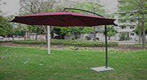 Side Umbrella