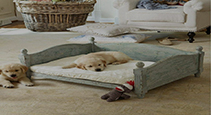 Dog Beds, Pans & Houses