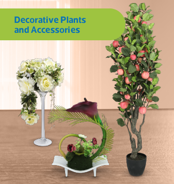 Decorative Plants and Accessories A3 350x370px_02.png